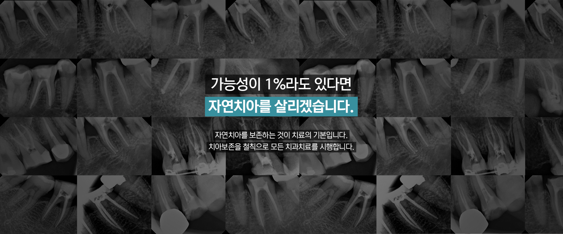 slide02